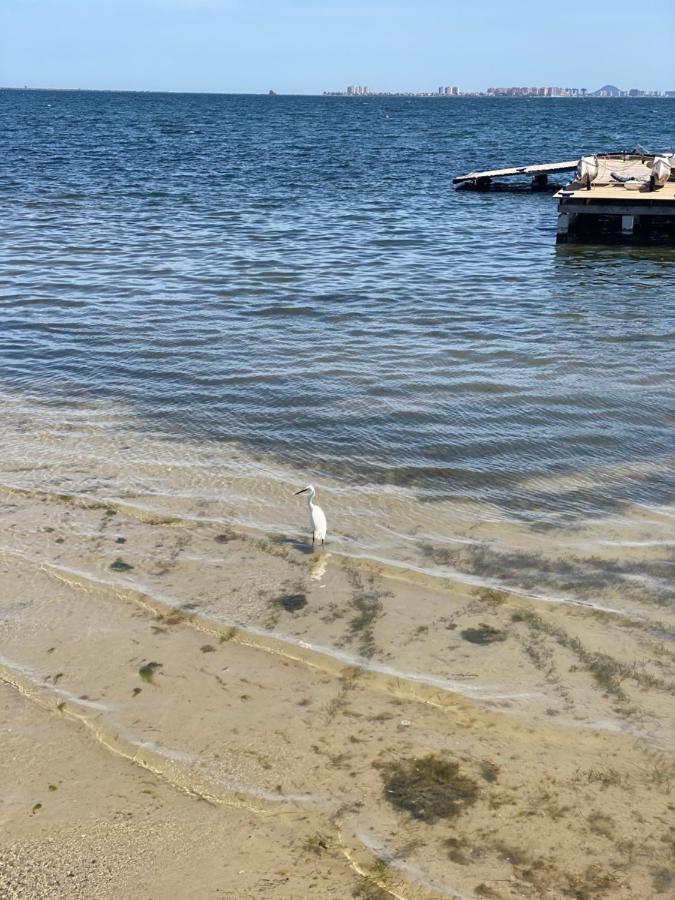 Mar Menor Elisa Apartment 圣地亚哥德拉里贝拉 外观 照片
